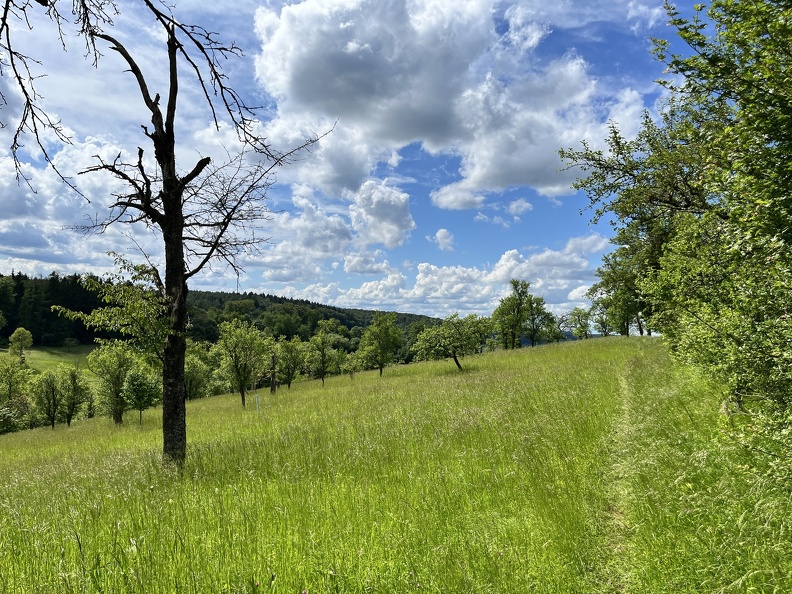 24-05-18 15-36-56 9469.jpg